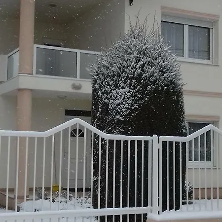 Pansiyon Venus *