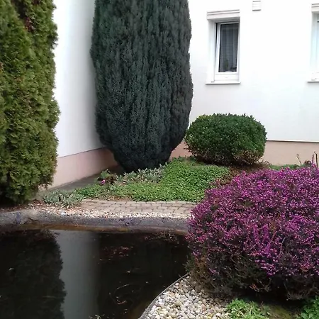 Venus Homestay szállás *