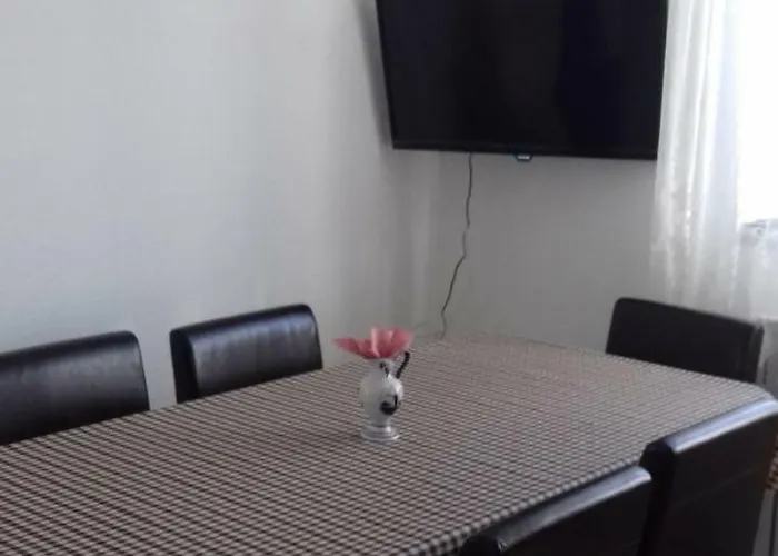 Venus 홈스테이 *