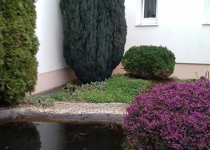 Venus 홈스테이 *